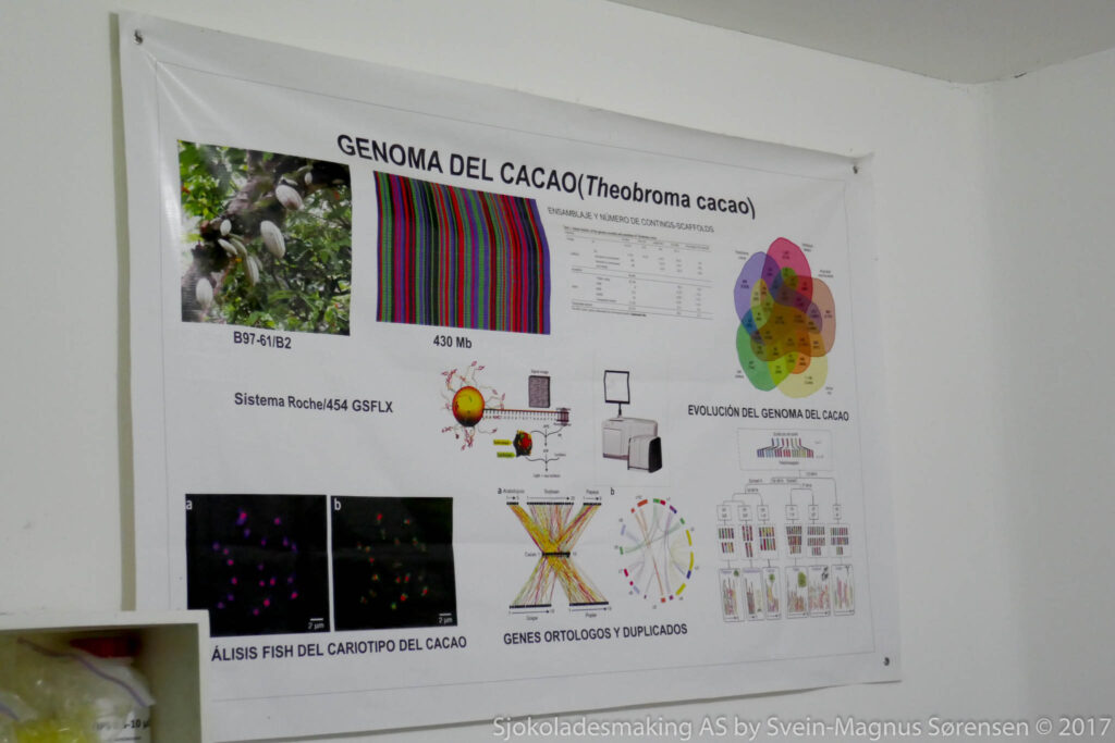 Plakat om kakaoens genetikk ved Instituto de Cultivos Tropicales