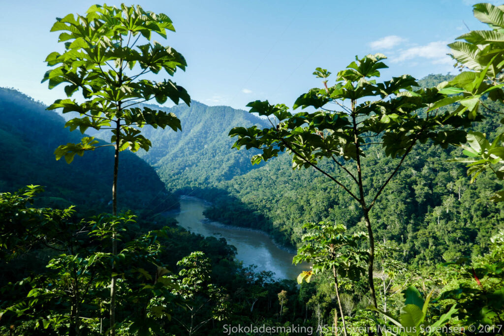 Huallaga-elven gjennom regnskogen i øvre Amazonas