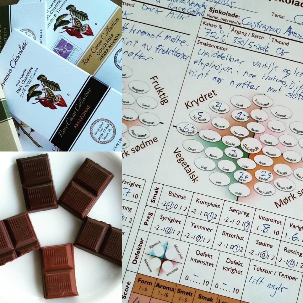 Biter av sjokolade fra Castronovo på et smaksark